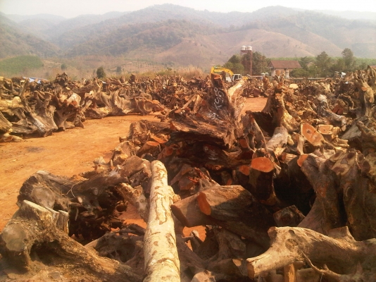 ขายที่ดิน ต.ปอน อ,ทุ่งช้าง จ,น่าน เนื้อที่ประมาณ 200 ไร่