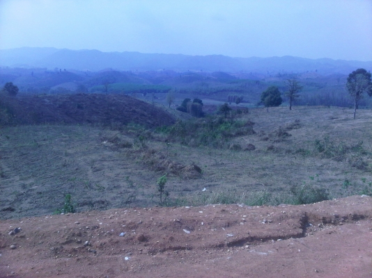 ขายที่ดิน ต.ปอน อ,ทุ่งช้าง จ,น่าน เนื้อที่ประมาณ 200 ไร่