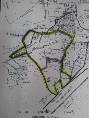 ขายที่ดิน ต.ปอน อ,ทุ่งช้าง จ,น่าน เนื้อที่ประมาณ 200 ไร่