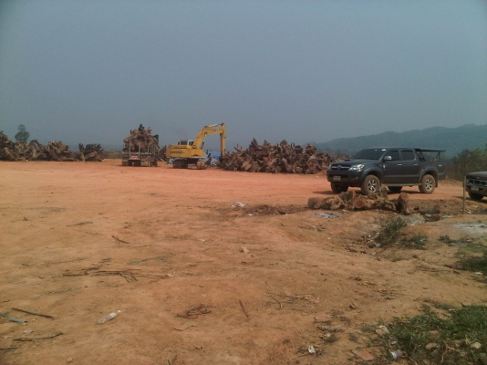 ขายที่ดิน ต.ปอน อ,ทุ่งช้าง จ,น่าน เนื้อที่ประมาณ 200 ไร่