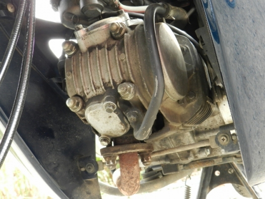 ขายแล้วครับขอบคุณทีมงานมากๆครับ