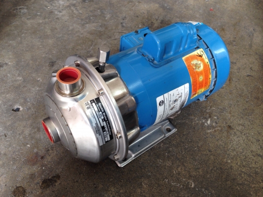 ขายปั้มน้ำหอยโข่งหัวปั้มสแตนเลส Emerson made in USA. ขนาด 0.5HP. 220V ไฟบ้าน สภาพสวย วิ่งนิ่ม พร้อมใช้งาน