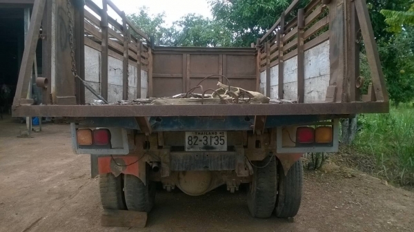 ขายตามสภาพ 10 ล้อ หัวยาวดั้ม เพลาเดียว เครื่อง 6BB1 145 แรงม้า(ชาร์ฟละลายต้องยกเครื่องใหม่) เฟืองท้ายใหญ่ พวงมาลัยพาวเวอร์ ทะเบียนครบพร้อมโอนครับ