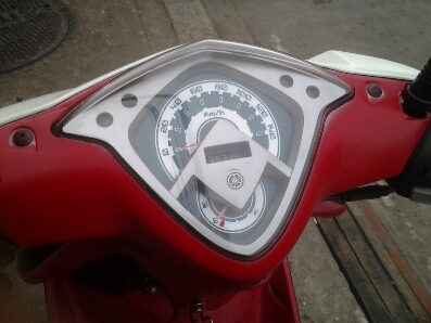 มีโอสวยปี51