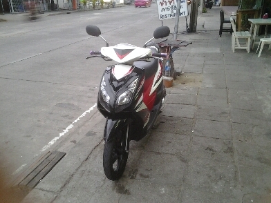 มีโอสวยปี51