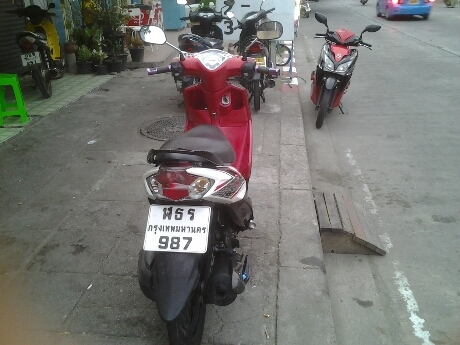 มีโอสวยปี51