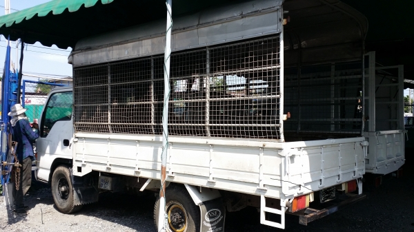 ขายNKR4ล้อไม่ติดเวลาป้ายเล็ก3100cc100แรงดีเซล ป้ายเล็ก แจ้งหลังคาในเล่มแล้ว แหนบหน้า เพลาลอยแหนบข้าง