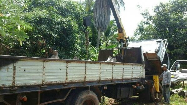 หกล้อติดเครน