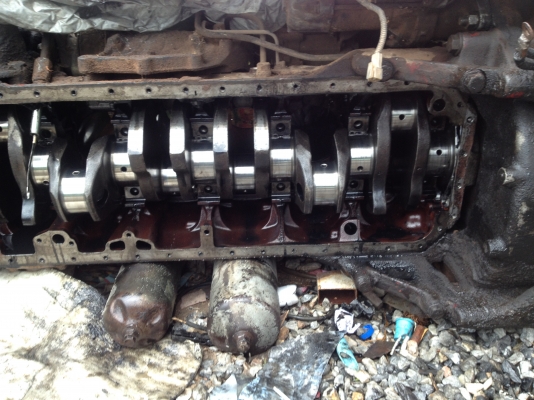 ขายเครื่อง hino p11