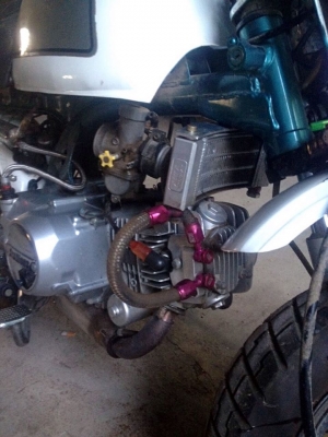 Stallion mini GiO 125