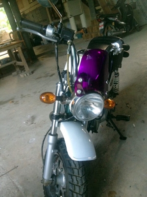 Stallion mini GiO 125