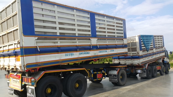 ขายพ่วง 24 ล้อ แม่-ลูก กระบะเหล็กคอกเกษตรดั้ม อู่.สหกิจ ISUZU 320 ปี.ต-ค-50 รถสวย เครื่องเกียร์กริปเลย ราคาแค่.2250000 ต่อรอง ยินดีจัดไฟแนนซ์ครับ ขายพ่วง 24 ล้อ แม่-ลูก กระบะเหล็กคอกเกษตรดั้ม อู่.สหกิจ ISUZU 320 ปี.ต-ค-50 รถสวย เครื่องเกียร์กริปเลย ราคาแค่.2250000 ต่อรอง ยินดีจัดไฟแนนซ์ครับ