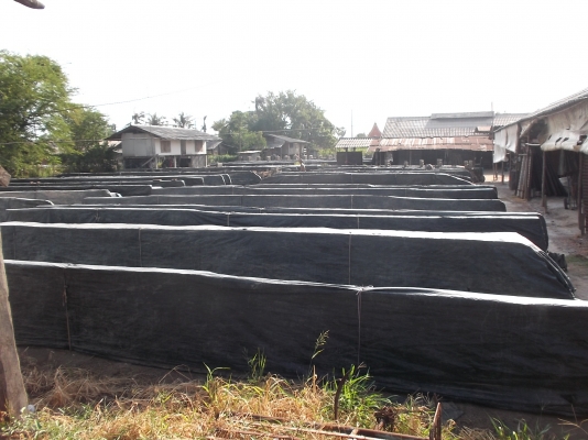 อิฐมอญ อิฐเครื่อง ราคา70สต.มาจากผู้ผลิตโดยตรง