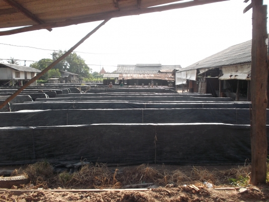 อิฐมอญ อิฐเครื่อง ราคา70สต.มาจากผู้ผลิตโดยตรง