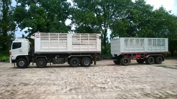 ขาย รถพ่วงดั้มแม่-ลูก HINO 380 แรงม้า แม่ 12 ล้อออกห้างปี 52 ลูก 3 คานดั้ม 7 เมตร รถสวยวิ่งน้อย ยางเต็ม ทะเบียนพร้อมโอน ขาย รถพ่วงดั้มแม่-ลูก HINO 380 แรงม้า แม่ 12 ล้อออกห้างปี 52 ลูก 3 คานดั้ม 7 เมตร รถสวยวิ่งน้อย ยางเต็ม ทะเบียนพร้อมโอน