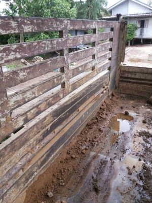 ขายดาวน์...หรือตัดสด 6ล้อดั้มดิน 210แรงISUZU FRR...รถห้างแท้ ปี55...ไมล์ 1.7แสนกว่าๆ