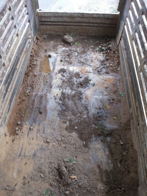 ขายดาวน์...หรือตัดสด 6ล้อดั้มดิน 210แรงISUZU FRR...รถห้างแท้ ปี55...ไมล์ 1.7แสนกว่าๆ