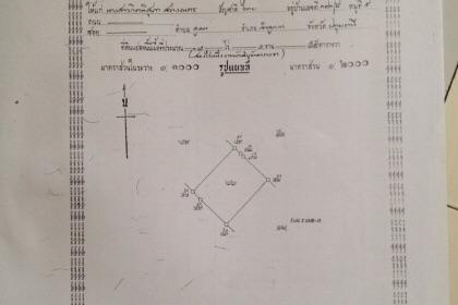 ขายที่ดิน 5ไร่  55 ตารางวา ใกล้ถนนราชพกษ์ หลังโรงเบียร์ฮอลแลนล์ ทำเลดี มีถนนตัดผ่าน ขาย ไร่ละ 7 ล้าน ติดต่อ 0811160919