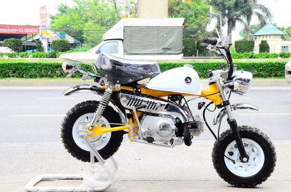 มังกี้ กอลิล่า แต่งๆๆ ลดราคาทุกรุ่นและมีของแถมอีกมากมาย  ด่วนๆๆ ลดๆๆ   เริ่มต้นราคา ที 25900