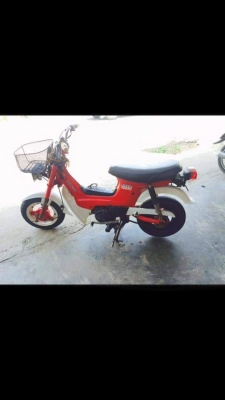 ขายชาลี เครื่องไนท์ มีทะเบียน สนใจโทร 089-9161222 ราคาลดได้เยอะมาก ขายชาลี เครื่องไนท์ มีทะเบียน สนใจโทร 089-9161222 ราคาลดได้เยอะมาก