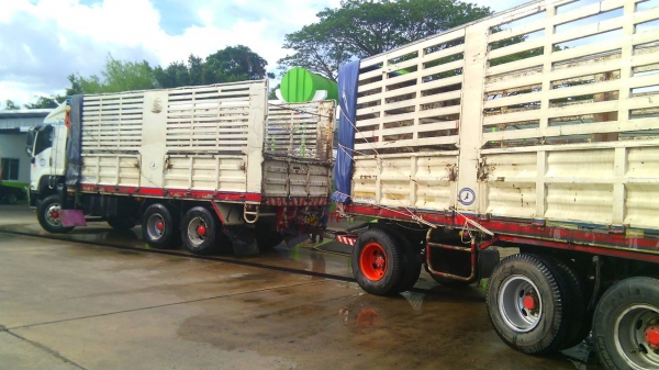 สิบล้อ อีซูซุ Fxz360 ปี53 รถห้าง 2เพา พ่วง แม่ลูก3 คลานไม่ดั้มกะบะค็อกสูง สภาพสวยพร้อมใช้งาน ทะเบียนพร้อมโอน