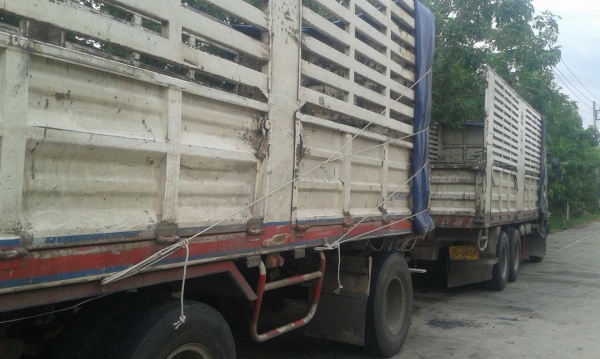 สิบล้อ อีซูซุ Fxz360 ปี53 รถห้าง 2เพา พ่วง แม่ลูก3 คลานไม่ดั้มกะบะค็อกสูง สภาพสวยพร้อมใช้งาน ทะเบียนพร้อมโอน