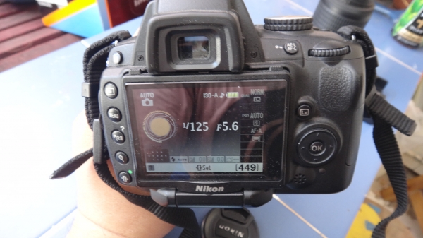 Nikon  D5000  kit, 55-200 mm.