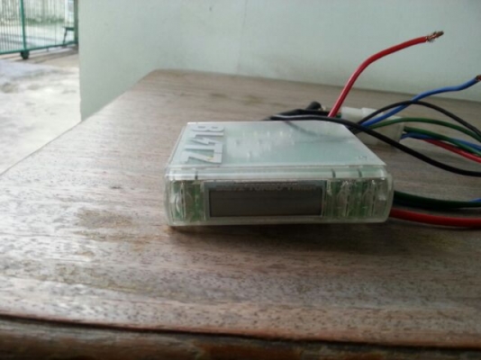 ทามเมอร์blitz