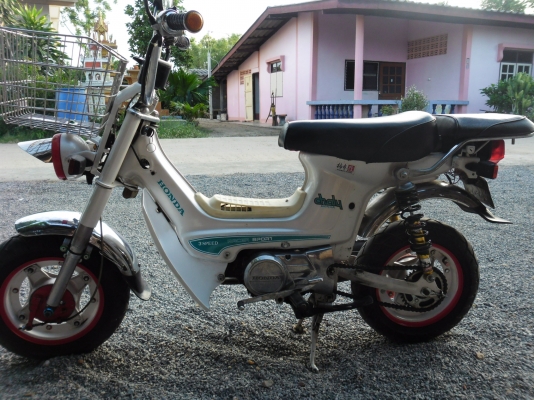 ชาลีเดิมสวย ชาลีเดิมสวย