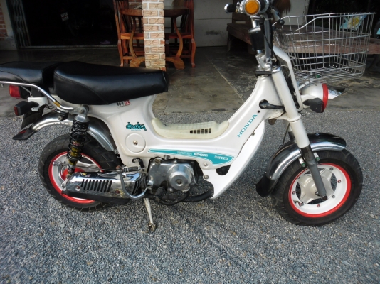 ชาลีเดิมสวย