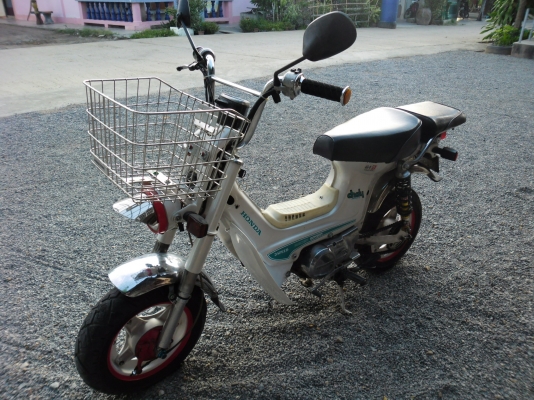 ชาลีเดิมสวย