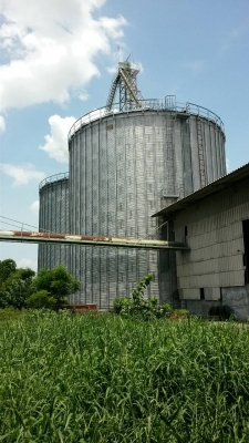 ขายโรงสีข้าว ราคา 17 ล้าน