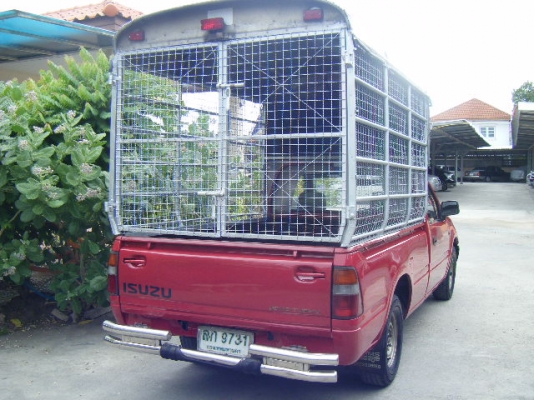 isuzu หัวเดียว ดรากอน 2500เทอร์โบ พร้อมใช้ค้าขาย