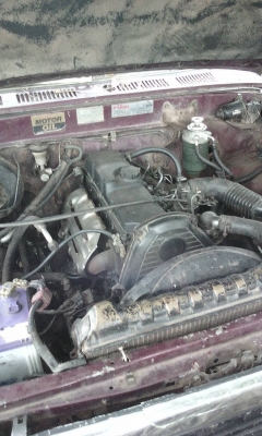 ขายไมตี้เอ็ก เครื่องฟิตมาใหม่ แซสซีสวย