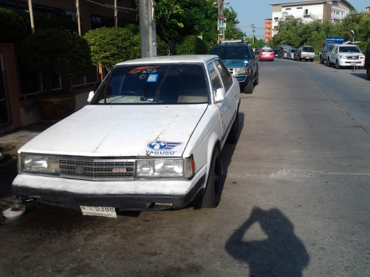 ขายโตต้าหน้าแหลม