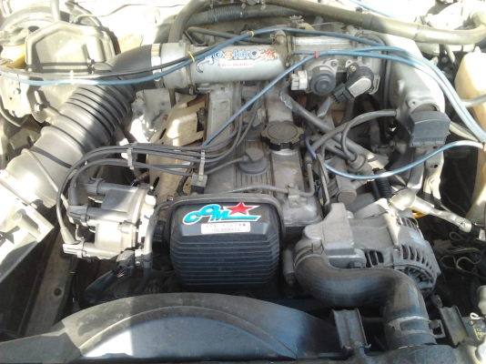 ขายโตต้าหน้าแหลม