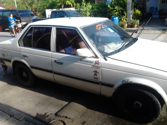 ขายโตต้าหน้าแหลม