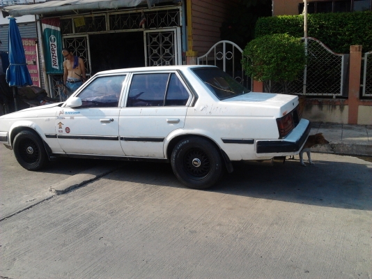 ขายโตต้าหน้าแหลม