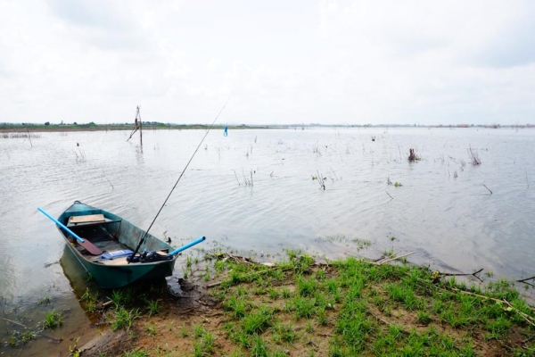 ขายเรือเหล็ก 12 ฟุต