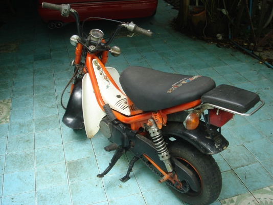 ขาย yamaha shipy