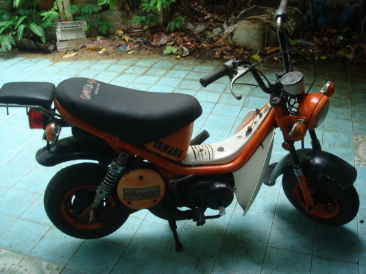 ขาย yamaha shipy