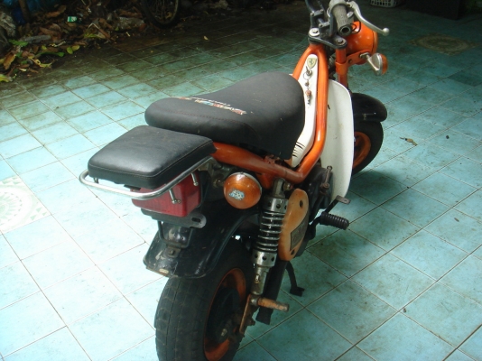 ขาย yamaha shipy