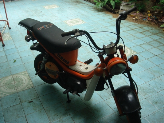 ขาย yamaha shipy