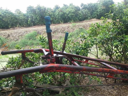 รถไถเดินตามพร้อมเครื่องยันม่า 115 lm