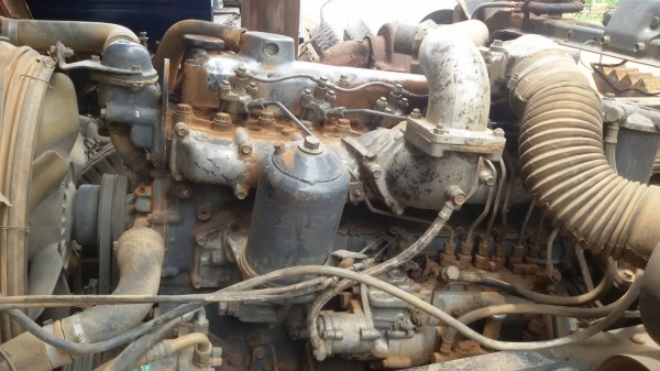 ร๊อคกี้ 175 สภาพสวยๆ ร๊อคกี้ 175 สภาพสวยๆ