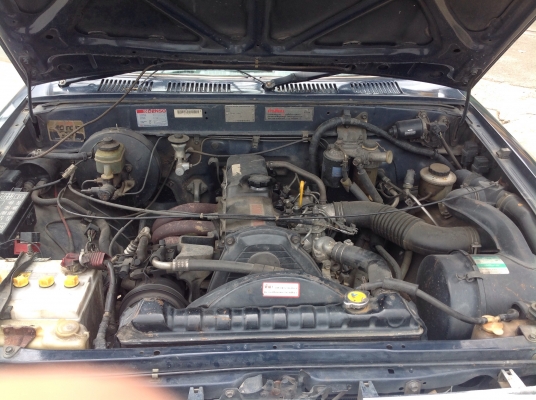 ไมด์ตี้ ไมด์ตี้