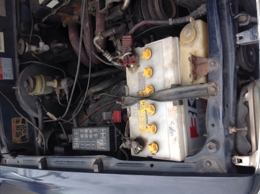 ไมด์ตี้ ไมด์ตี้