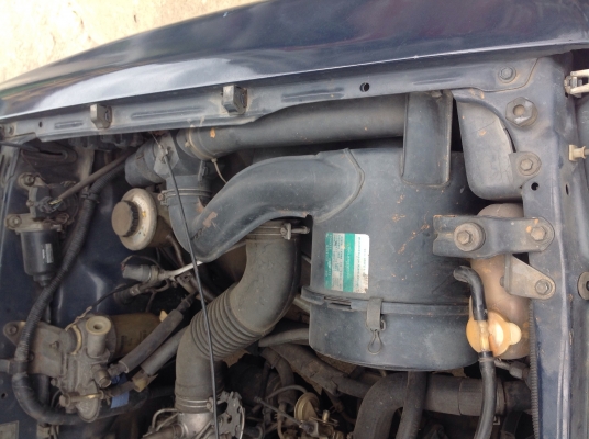 ไมด์ตี้ ไมด์ตี้