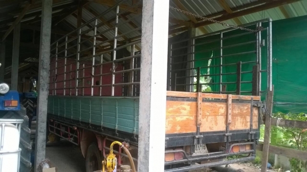 ขาย 6 ล้อ ISUZU ROCKY ยาง 825 ยาว 5 เมตร เครื่อง 6BG1 175 แรงม้า คัสซีสวยตลอดเส้น เบรคทิฟฟี่ พาวเวอร์ ทะเบียนพร้อมโอน ขาย 6 ล้อ ISUZU ROCKY ยาง 825 ยาว 5 เมตร เครื่อง 6BG1 175 แรงม้า คัสซีสวยตลอดเส้น เบรคทิฟฟี่ พาวเวอร์ ทะเบียนพร้อมโอน