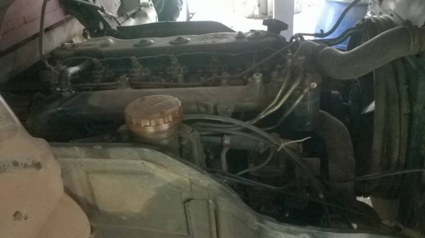 ขาย 6 ล้อ ISUZU ROCKY ยาง 825 ยาว 5 เมตร เครื่อง 6BG1 175 แรงม้า คัสซีสวยตลอดเส้น เบรคทิฟฟี่ พาวเวอร์ ทะเบียนพร้อมโอน ขาย 6 ล้อ ISUZU ROCKY ยาง 825 ยาว 5 เมตร เครื่อง 6BG1 175 แรงม้า คัสซีสวยตลอดเส้น เบรคทิฟฟี่ พาวเวอร์ ทะเบียนพร้อมโอน